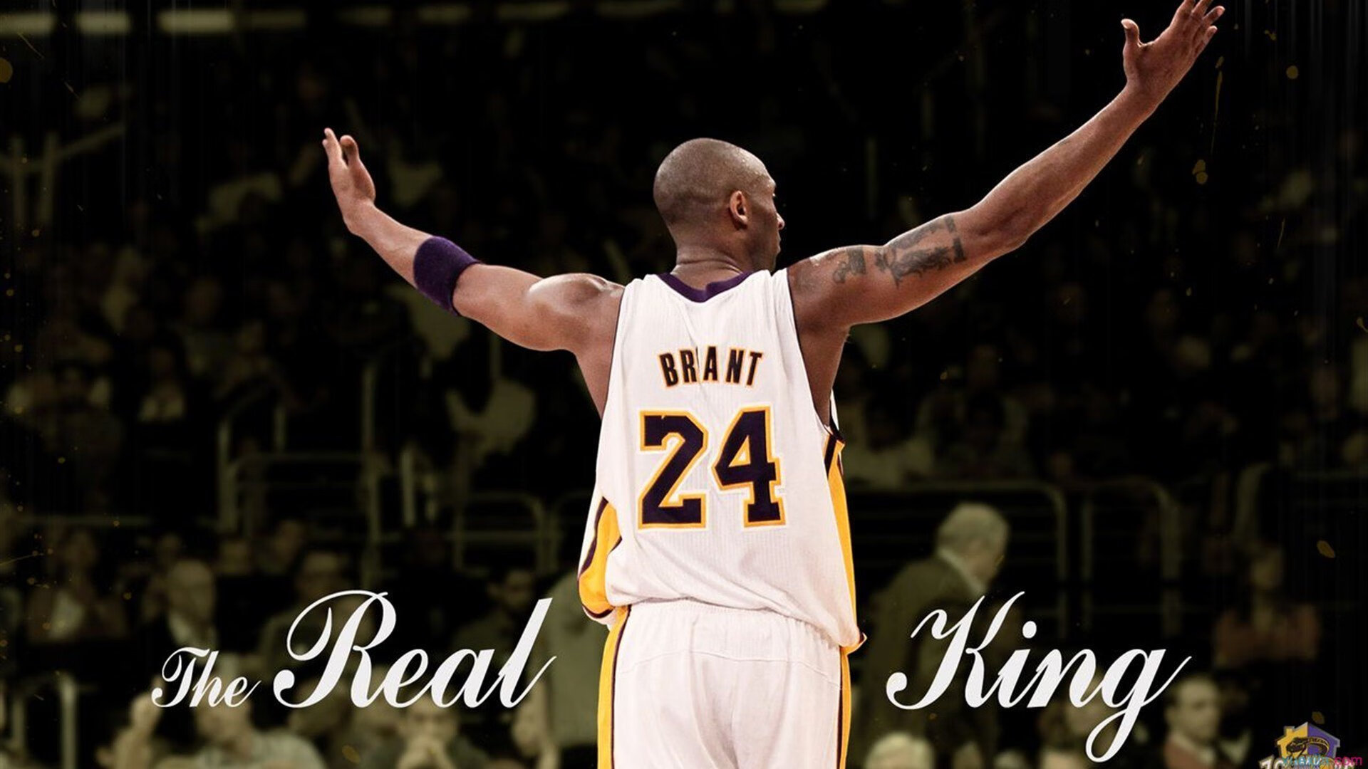 kaiyun app-NBA × 电竞社交媒体活动热度飙升，知名电竞媒体